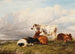 Dans les prés à midi - Thomas Sidney Cooper — artwork view