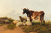 Sheep and Cows in the Meadow - Thomas Sidney Cooper — artwork view