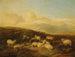 Sheep in a moorland landscape - Thomas Sidney Cooper — artwork view
