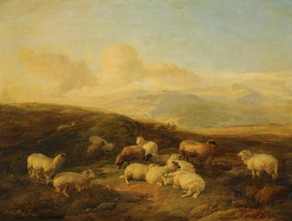 Sheep in a moorland landscape - Thomas Sidney Cooper — artwork view