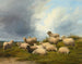 Sheep in a Field - Thomas Sidney Cooper — artwork view
