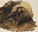 Study of a Ram's Head - Thomas Sidney Cooper — artwork view