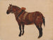 Study of a Working Horse - Thomas Sidney Cooper — artwork view