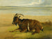 The Solitary Mourning - Thomas Sidney Cooper — artwork view