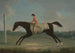 Borlase Cokayne as a boy riding Sultana - Thomas Smith of Derby — artwork view