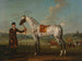 Scipion, a spotted hunter, property of Colonel Roche - Thomas Spencer — artwork view