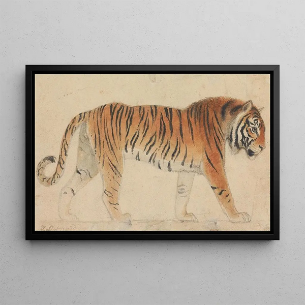 A Tiger - Thomas Stothard — framed artwork on a wall