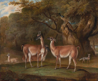 Lamas et un renard dans un paysage boisé - Thomas Weaver — artwork view