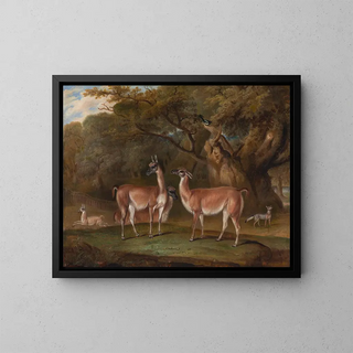 Lamas et un renard dans un paysage boisé - Thomas Weaver — framed artwork on a wall
