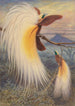 Paradise Birds - Thomas William Wood — artwork view