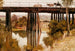 Winter Morning after the Rain Gardiners Creek - Tom Roberts — artwork view