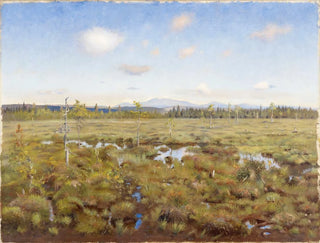 Landscape of Lapland - Torsten Wasastjerna — artwork view