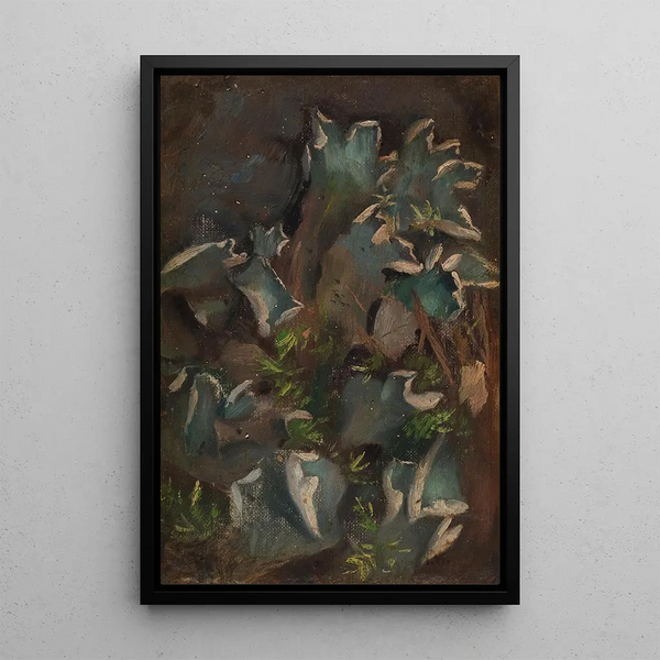 Lichen - Torsten Wasastjerna — framed artwork on a wall