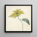 Sunflower Painting - D van Alphen — framed artwork on a wall