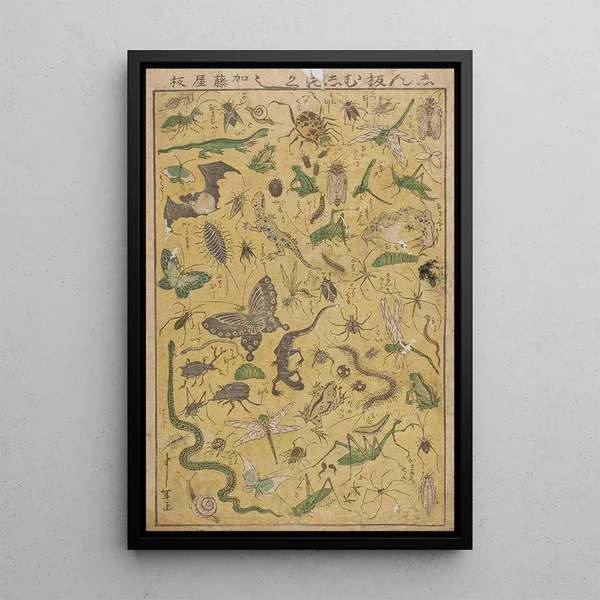 a new publication of selected insects - Tsukioka Yoshitoshi — framed artwork on a wall