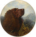 A Sussex Spaniel - George Earl — artwork view
