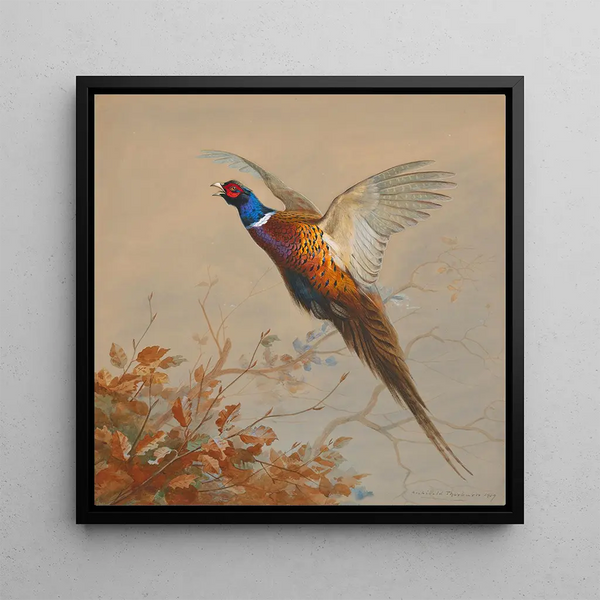 a flying pheasant rooster - Archibald Thorburn — framed artwork on a wall