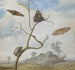 a beetle on a branch, two butterflies, a moth, and a small scarab above, with a landscape in the background - Margareta de Heer — artwork view