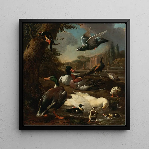 A peacock, pigeons, ducks, and other birds in a garden - Melchior d'Hondecoeter — framed artwork on a wall