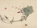 Studies of nature: plants, fish and birds, lotus tuber with insects - Urakami Shunkin — artwork view