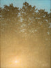 Sunset at Fontainebleau - Valdemar Schønheyder Møller — artwork view