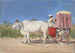 Carriage Painting for Delhi - Vasily Vereshchagin — artwork view