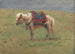 Poneys Himalayans - Vasily Vereshchagin — artwork view