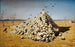 L'Apothéose de la guerre - Vasily Vereshchagin — artwork view