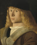 Portrait of a Young Man - Venetian 16th Century — artwork view