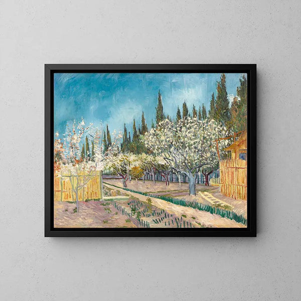 Reproduction of the painting Cypressed Orchard Painting - Vincent Van Gogh