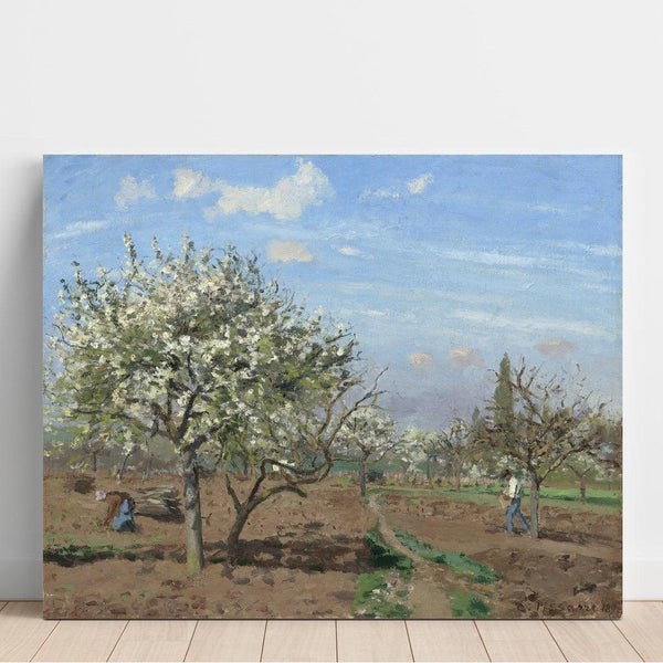 Reproduction of the painting Flower Orchard Painting, Louveciennes - Camille Pissarro