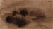 Two Trees in the Islet - Victor Hugo — artwork view