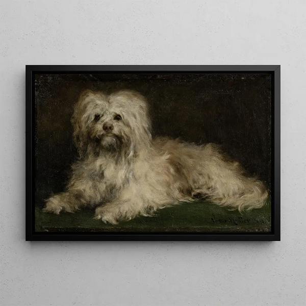 Pinscher Puss - Victor Müller — framed artwork on a wall