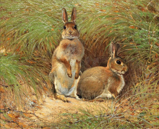 Lapins - Victor Stoetzner Lund — artwork view