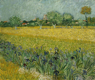 Champ de fleurs près d'Arles - Vincent van Gogh — artwork view