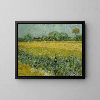 Champ de fleurs près d'Arles - Vincent van Gogh — framed artwork on a wall