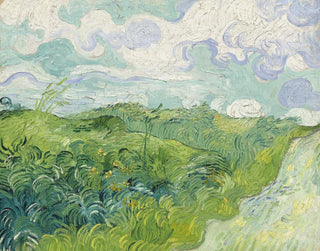 Green Wheat Fields at Auvers - Vincent van Gogh — artwork view