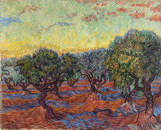 Olive grove à Saint-Rémy - Vincent van Gogh — artwork view