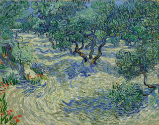 Olive Orchard Painting - Vincent van Gogh — artwork view