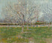 Flowering Orchard Painting - Vincent van Gogh — artwork view