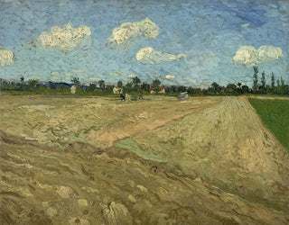 Champs labourés - Vincent van Gogh — artwork view