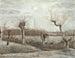 Têtards pollards - Vincent van Gogh — artwork view