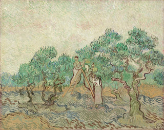 The Olive Orchard - Vincent van Gogh — artwork view