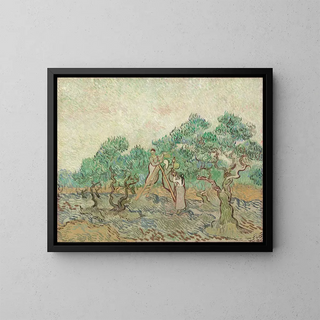 The Olive Orchard - Vincent van Gogh — framed artwork on a wall