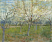 The Rose Orchard - Vincent van Gogh — artwork view