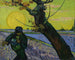 The Sower - Vincent van Gogh — artwork view