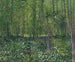 Trees and Underbrush - Vincent van Gogh — artwork view