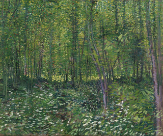 Trees and Underbrush - Vincent van Gogh — artwork view