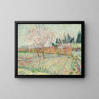 Orchard with Cypresses - Vincent van Gogh — framed artwork on a wall
