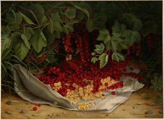 Groselles - Virginia Granberry — artwork view